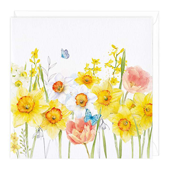Card Daffodil Meadow